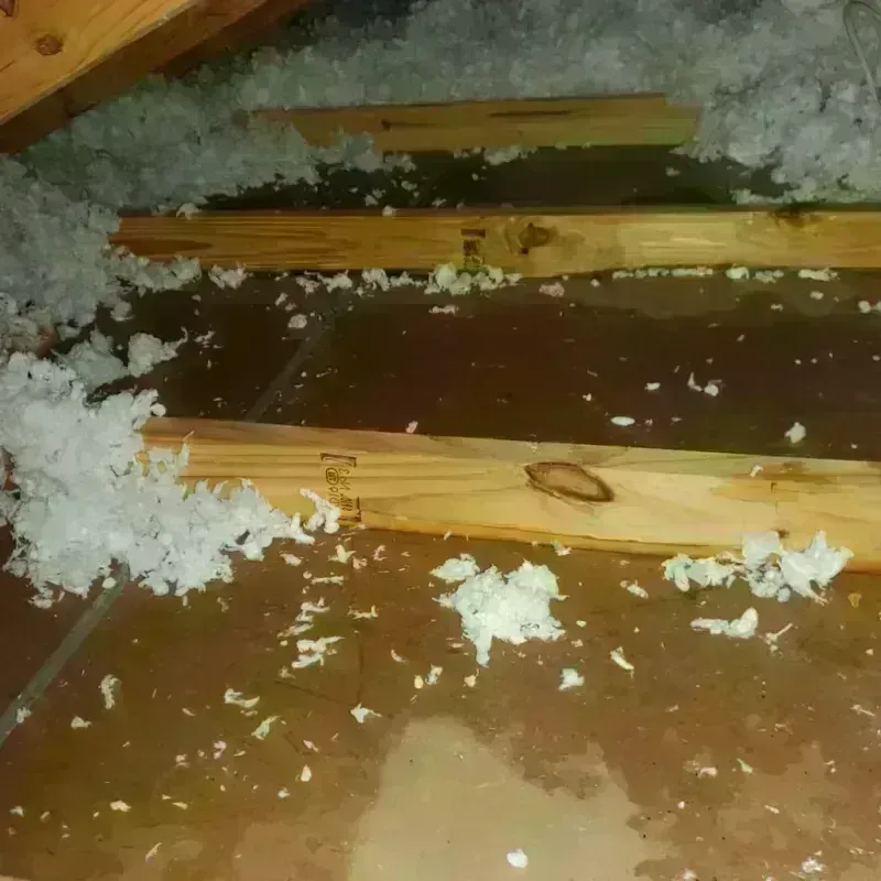 Attic Water Damage in Hamilton County, FL