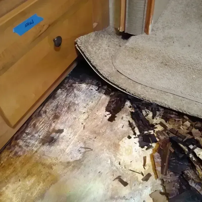 Wood Floor Water Damage in Hamilton County, FL